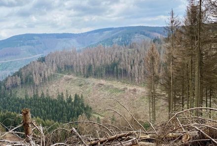 Sanierung im Zeichen von Umweltschutz und Nachhaltigkeit