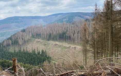 Sanierung im Zeichen von Umweltschutz und Nachhaltigkeit